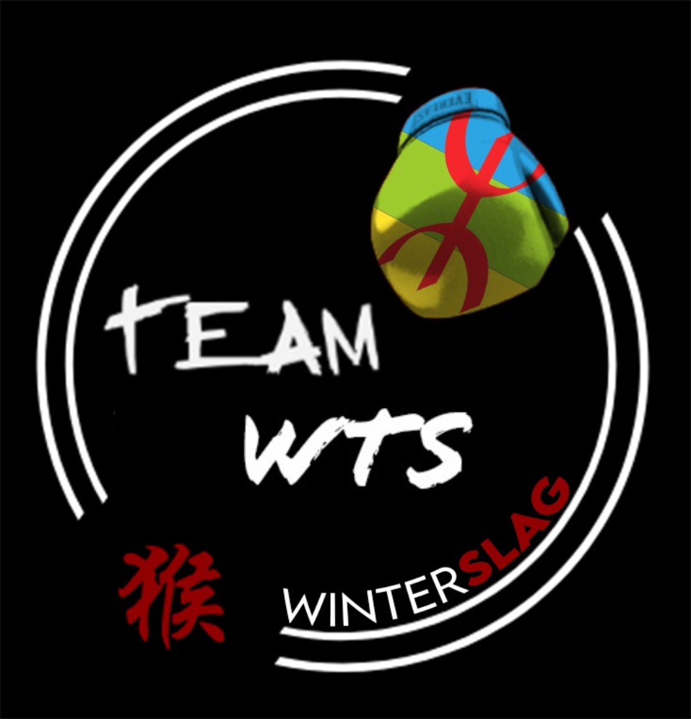 Team WTS logo